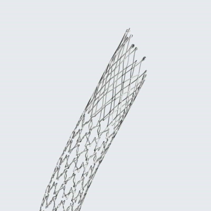 An enlarged pouch that adjoins the heart, is formed by the union of the large systemic veins and is the passage through wich venous blood enters the heart in lower verbtebrates and embryos of higher forms.